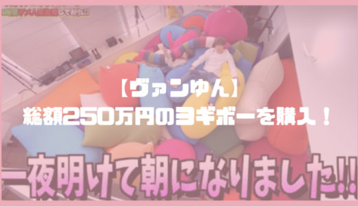 【総額250万円】ヴァンゆんチャンネルが大量のヨギボーを購入！